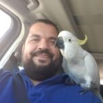 Q: Can I just take my cockatoo to a regular vet who treats dogs and cats?