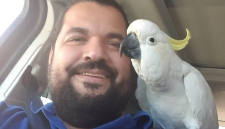 cockatoo parrot breeders in United Arab Emirates