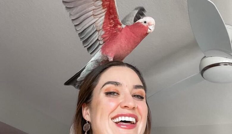 Cockatoo Parrots in Montana