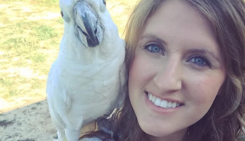 Cockatoo parrots for sale in Australia