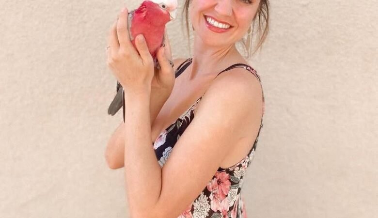Cockatoo birds for sale in New Hampshire