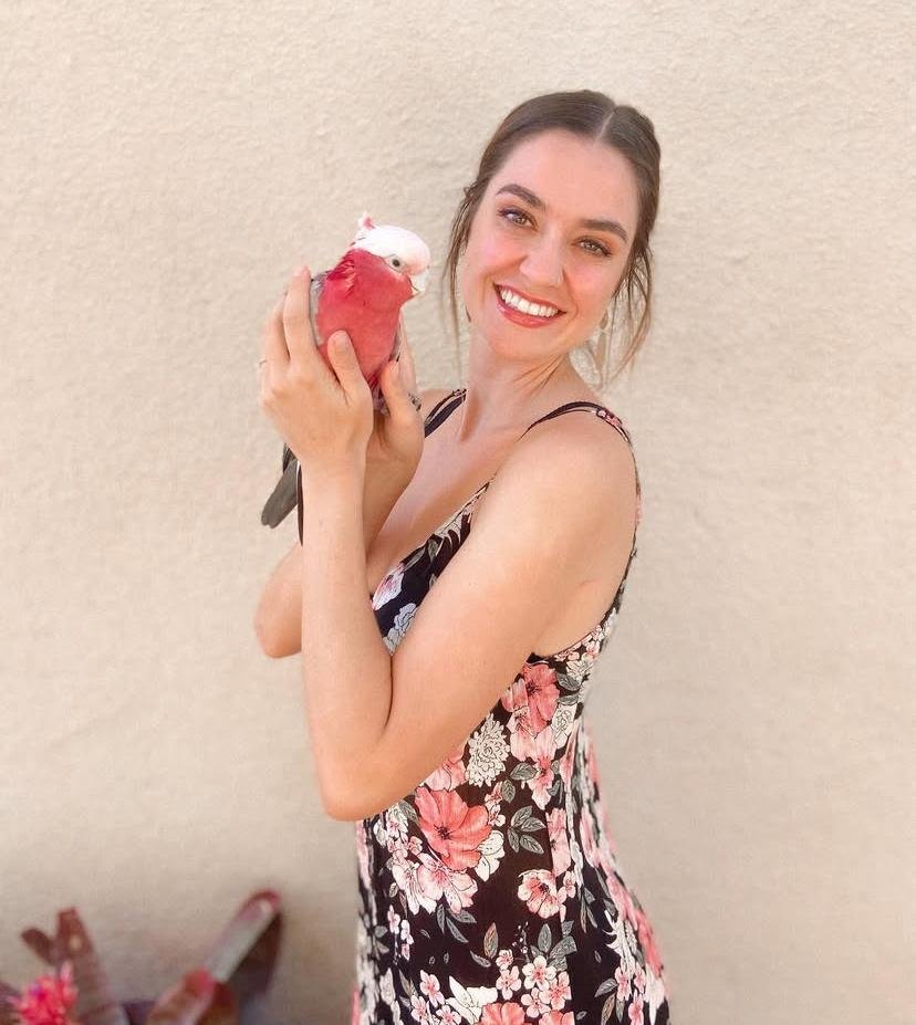 Cockatoo birds for sale in New Hampshire