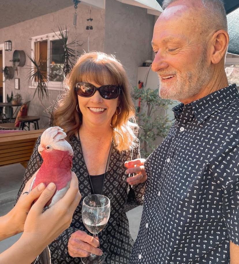 Cockatoo parrots for sale in Buller District