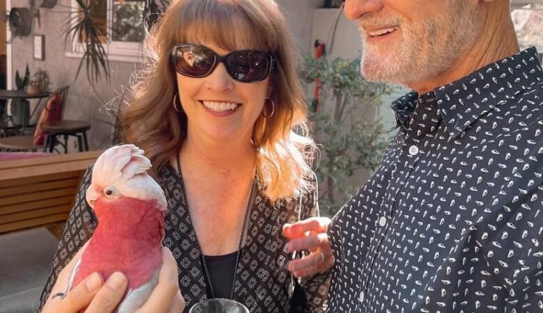 Cockatoo Parrots For Sale in Cavan, Ulster