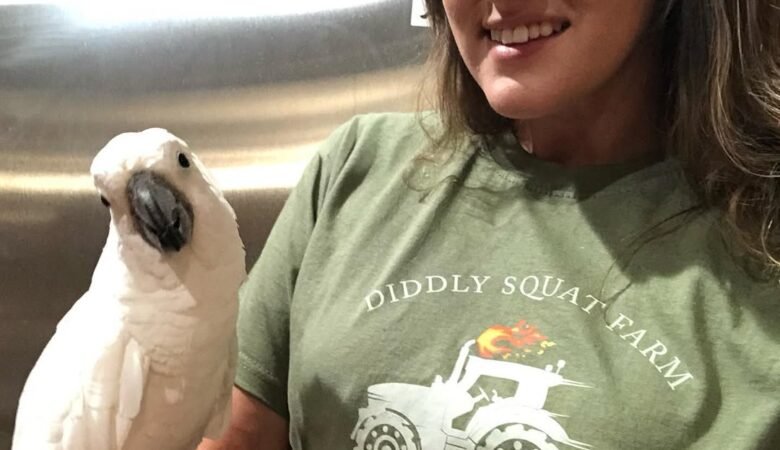 Cockatoo parrots for sale in Central Otago District, New Zealand