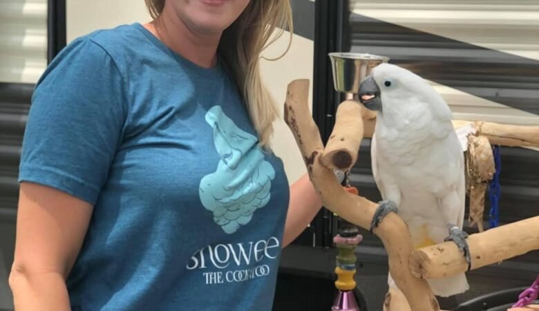 Cockatoo Parrots in Michigan