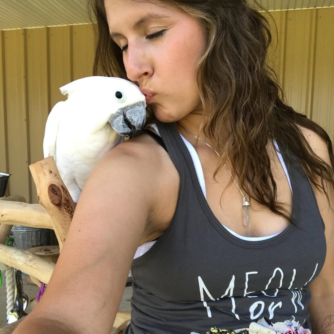 Cockatoo Parrots in Mississippi