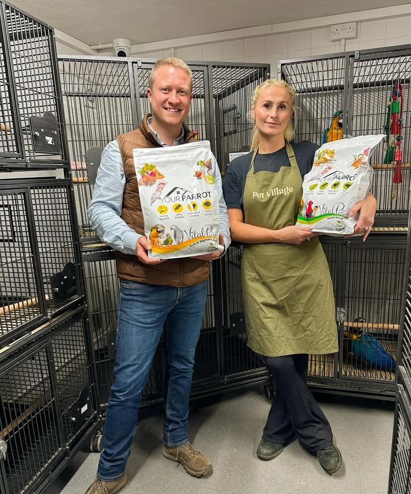 Cockatoo Parrots for Sale in Modoc County