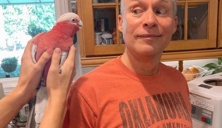 Cockatoo Parrots in Georgia