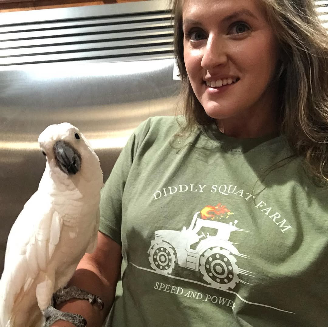 Cockatoo Parrots for Sale in Imperial County